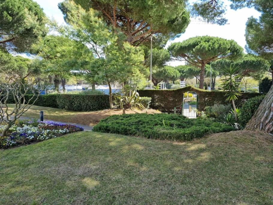 Superbe T2 Tout Confort 3 Etoiles, Entierement Renove Avec Piscine, Parking, Clim, Wifi, Netflix La Grande Motte Ngoại thất bức ảnh